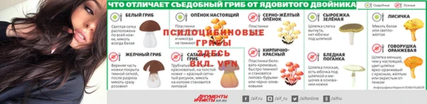 спайс Дмитров