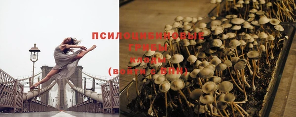 спайс Дмитров